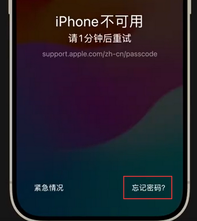 河西苹果手机密码维修分享iPhone忘记了刚设置的密码 